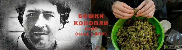 хмурый Горно-Алтайск