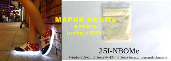 молекула духа Горнозаводск