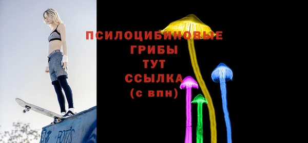 хмурый Горно-Алтайск