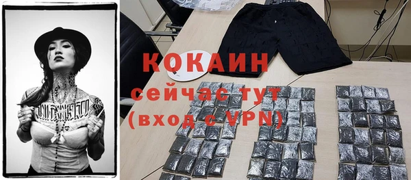 хмурый Горно-Алтайск