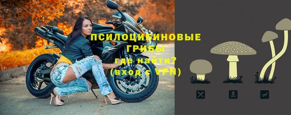 хмурый Горно-Алтайск