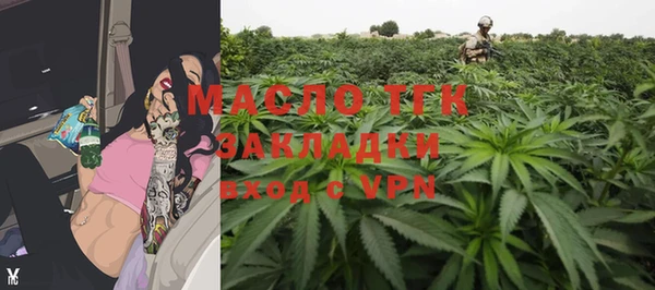 молекула духа Горнозаводск