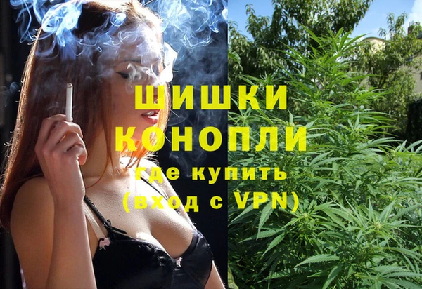 молекула духа Горнозаводск