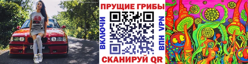 Купить где  Малоярославец  Псилоцибиновые грибы мицелий 